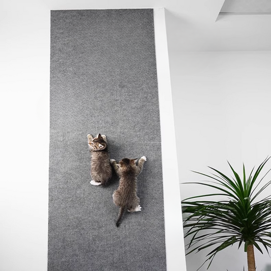 Double the Fun: ScratchGuard Wall-Mounted Cat Scratcher