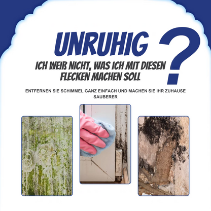 Say Goodbye to Mold with PureWall™ Instant Remover