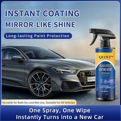 Instant Shine | Quick Clean Spray for Effortless Brilliance