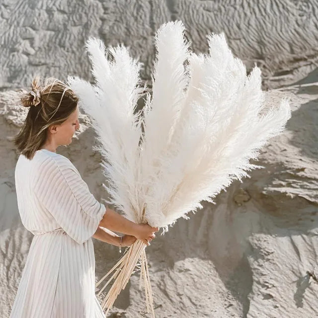 Dried Pampas Grass for Boho Decor