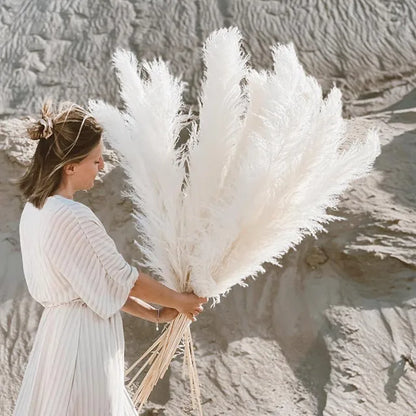 Dried Pampas Grass for Boho Decor