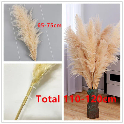 Dried Pampas Grass for Boho Decor