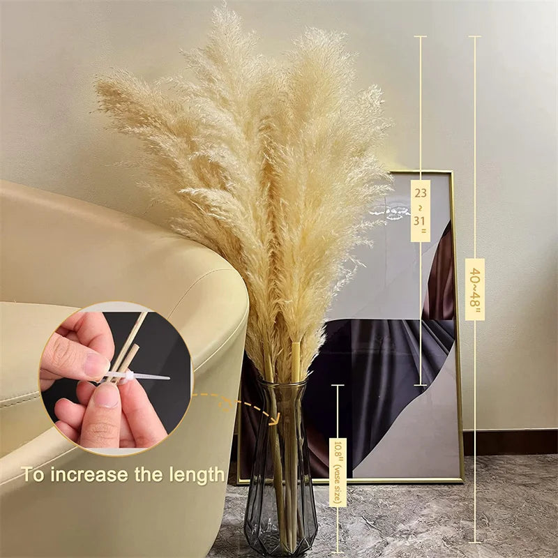 Dried Pampas Grass for Boho Decor