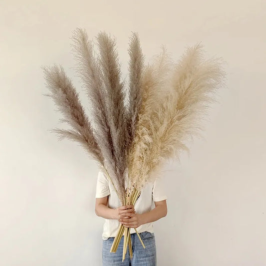 Dried Pampas Grass for Boho Decor