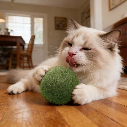 Large Catnip Ball