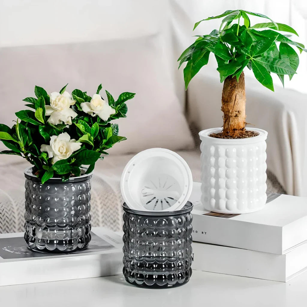 Succulent Holder - Keep Your Succulents Plump Without Watering Effort