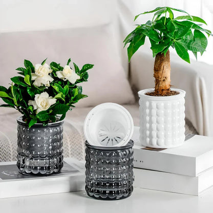 Succulent Holder - Keep Your Succulents Plump Without Watering Effort