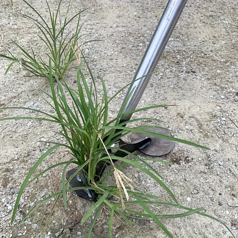 Hand Tool for Root Removal | Carbon Steel Weed and Root Extractor | Ideal for Corn, Cotton, and Vegetable Fields