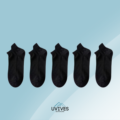 3+3 FREE | BareBreeze – Invisible, Lightweight, All-Day Freshness