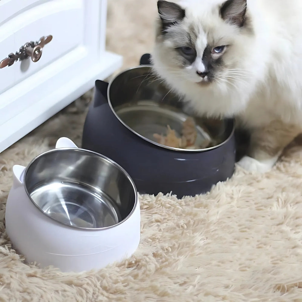 Elevated Comfort Cat Feeding Dish
