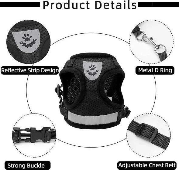 Adjustable, Breathable, Light-Up Cat Harness