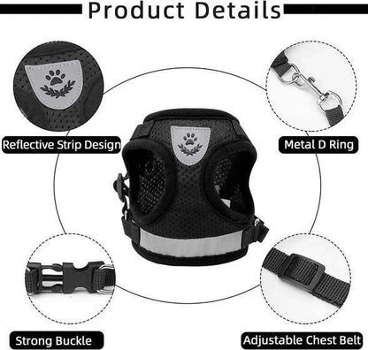 Adjustable, Breathable, Light-Up Cat Harness