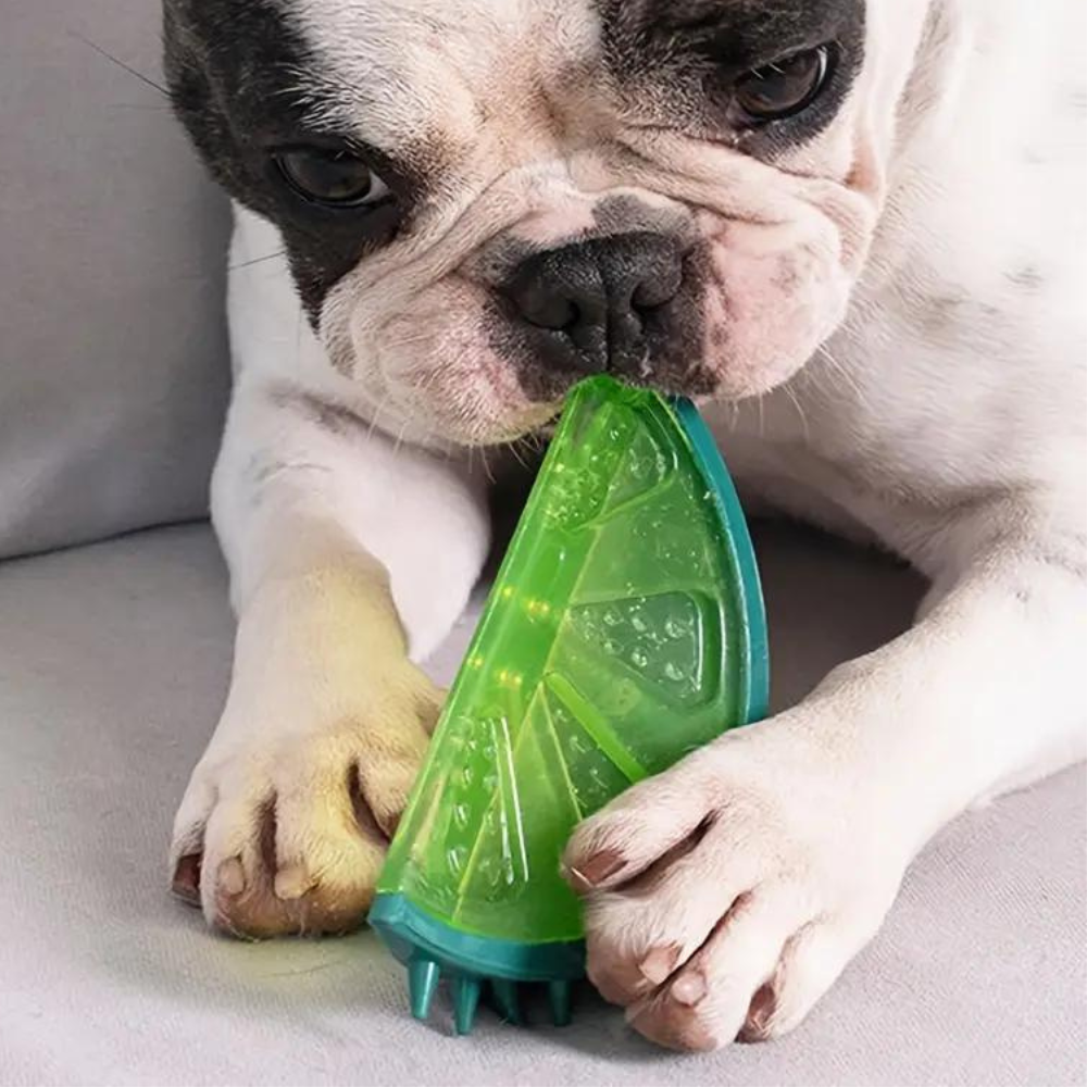 Chill & Play: Freezable Summer Chew Toy for Dogs