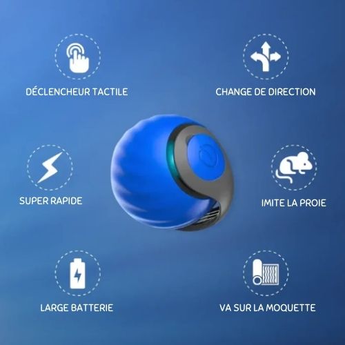 Interactive Rolling Ball for Clever Fun with Your Furry Friends