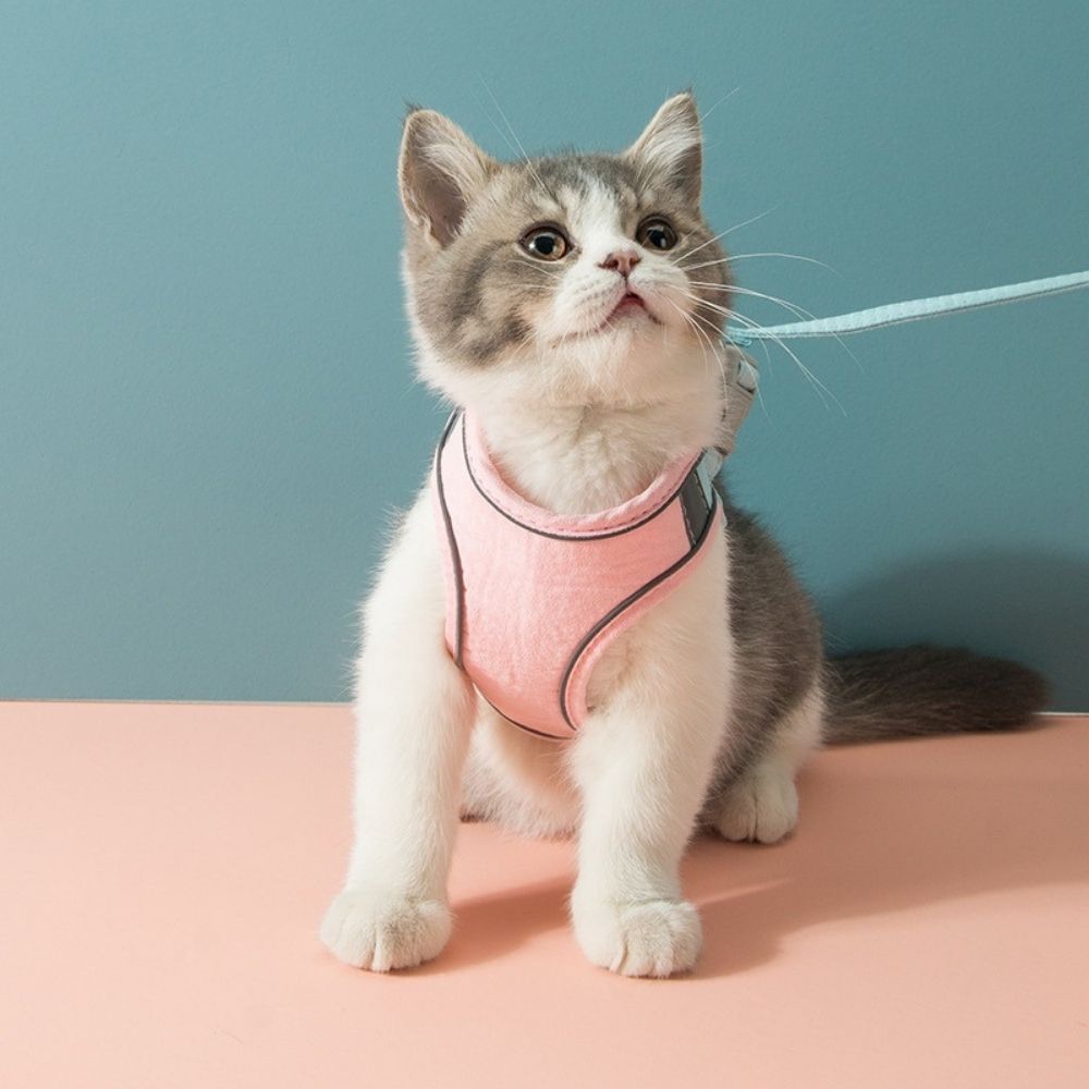 ExploreSafe Cat Harness and Leash Set