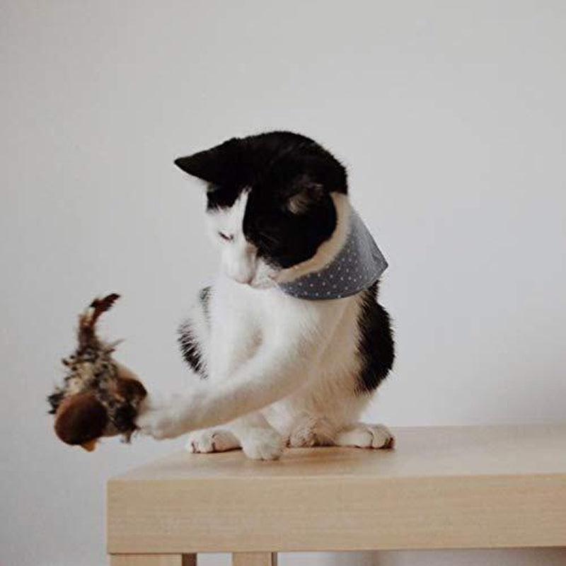 Interactive Chirping Bird Toy for Cats