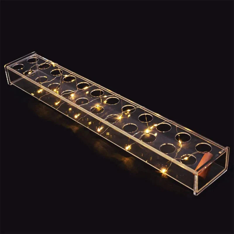 Elegant Acrylic Flower Vase with LED Illumination