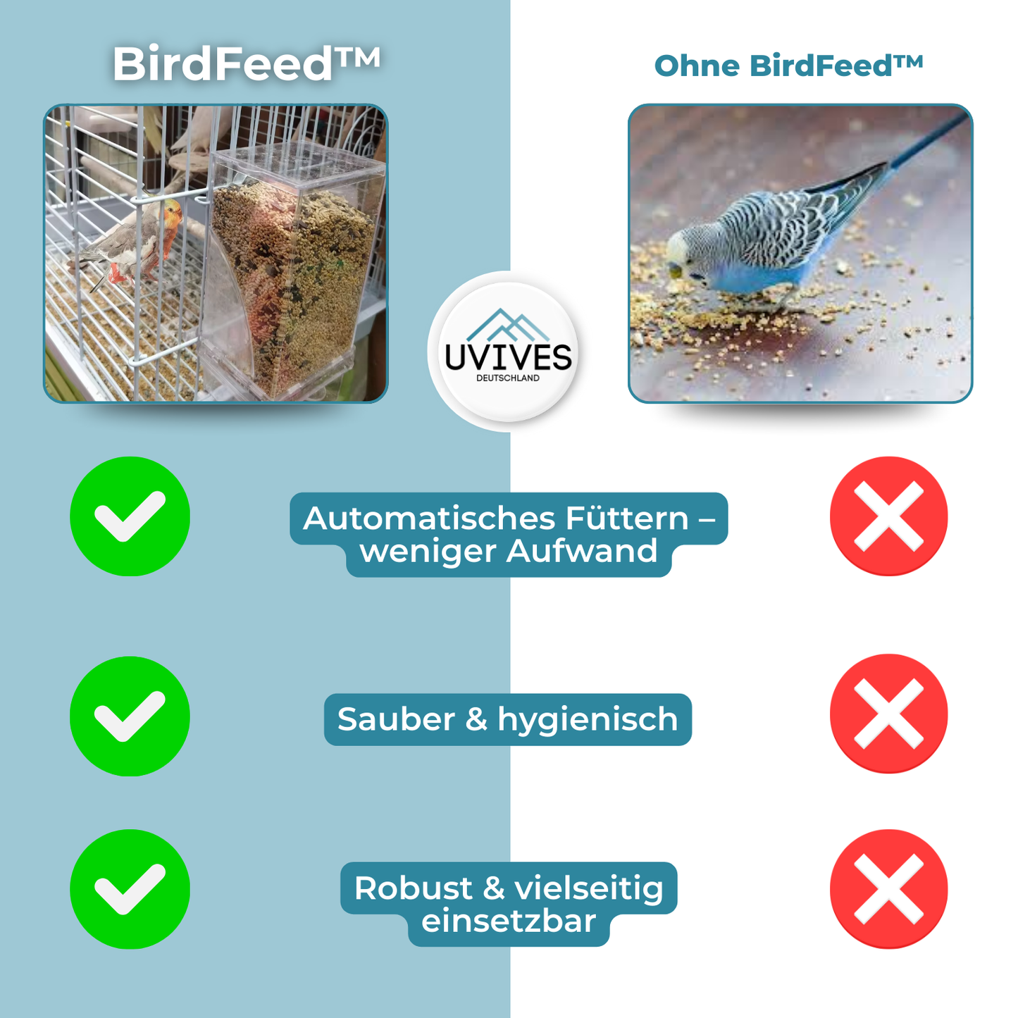 Bird Feeder – Clean Feeding, Happy Birds, Reduced Effort
