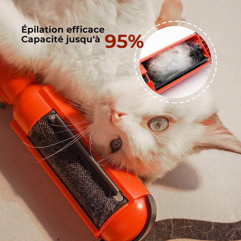 Pet Hair Removal Adhesive Brush