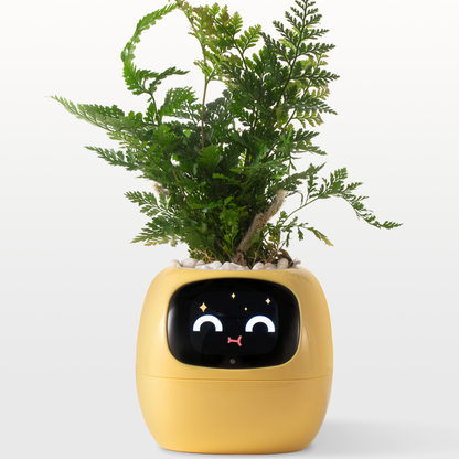 Creative Emoji Flower Pot