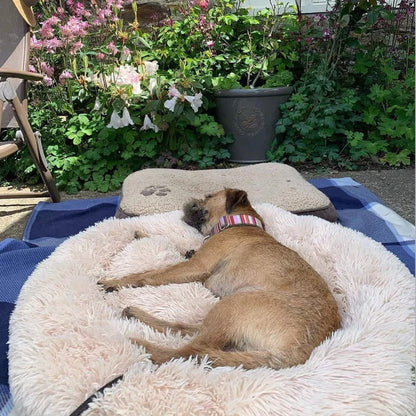 Dog Bed for Relaxation and Comfort