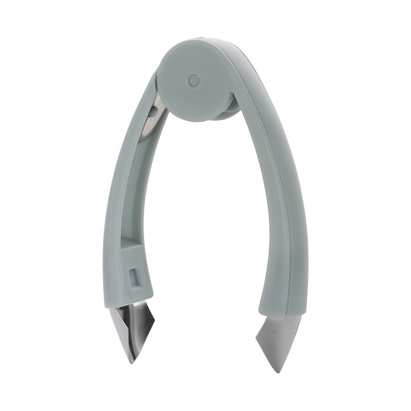 Multi-Purpose Fruit Tweezers for Seed Removal