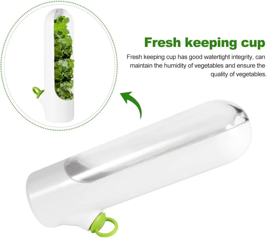 Buy One Get One Free | Fresh Storage Container for Vegetables and Herbs