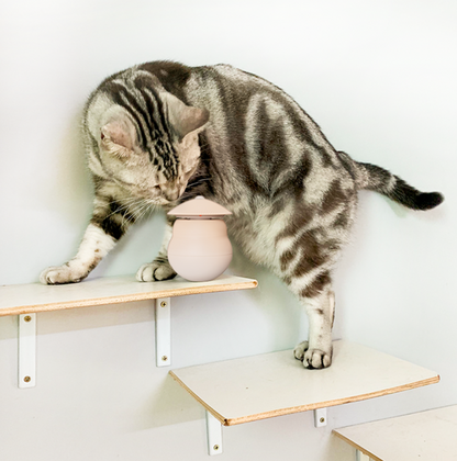 Automatic Infrared Laser Cat Teaser Toy