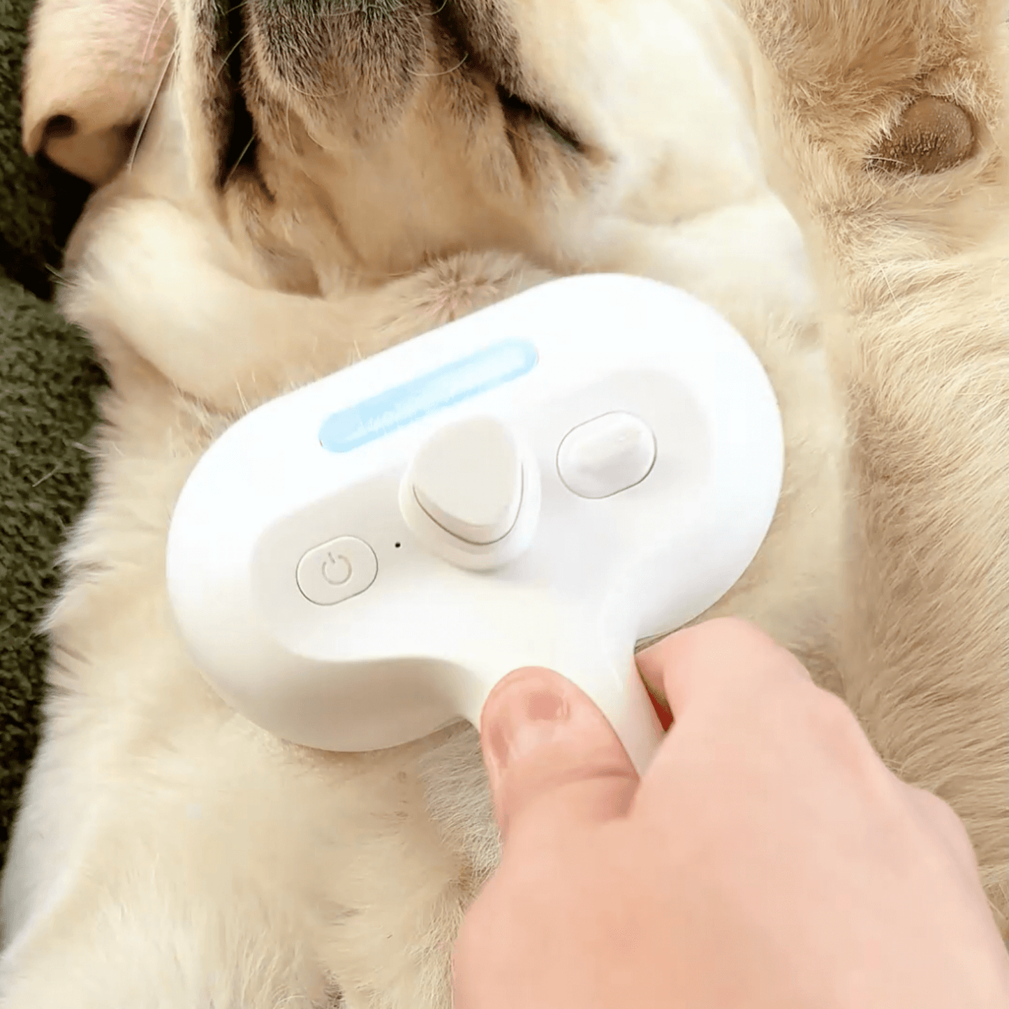 Steam Brush for Dogs – Gentle Grooming Tool for All Coat Types