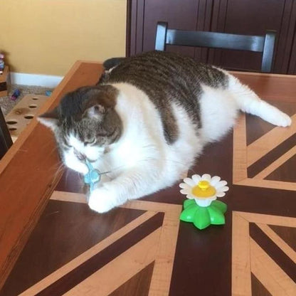 Engaging Cat Toy with Interactive Bird Design