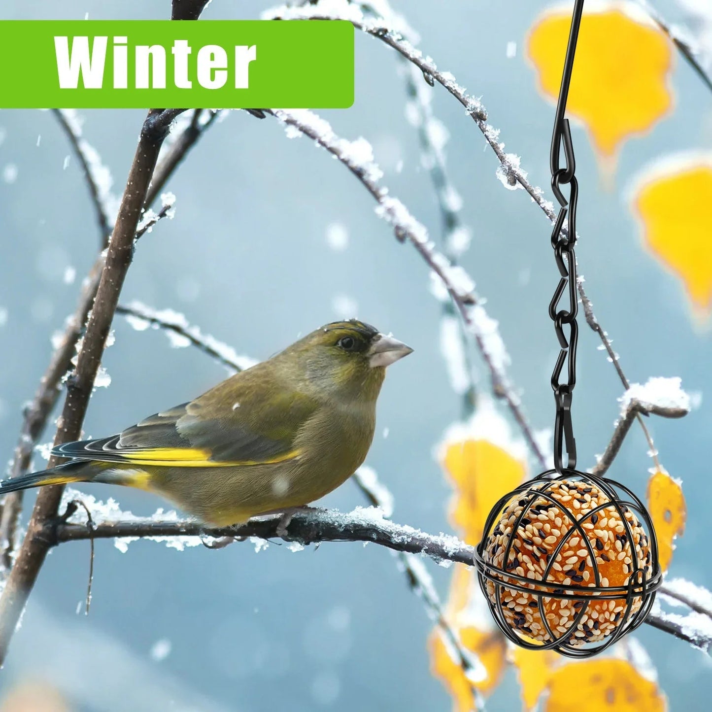 Bird Food Ball Set with Metal Chain | Pack of 4 | Iron | Diameter 7 cm