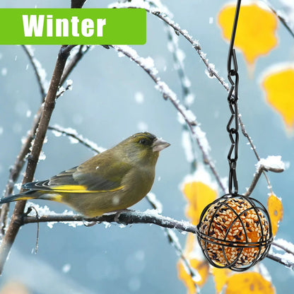 Bird Food Ball Set with Metal Chain | Pack of 4 | Iron | Diameter 7 cm