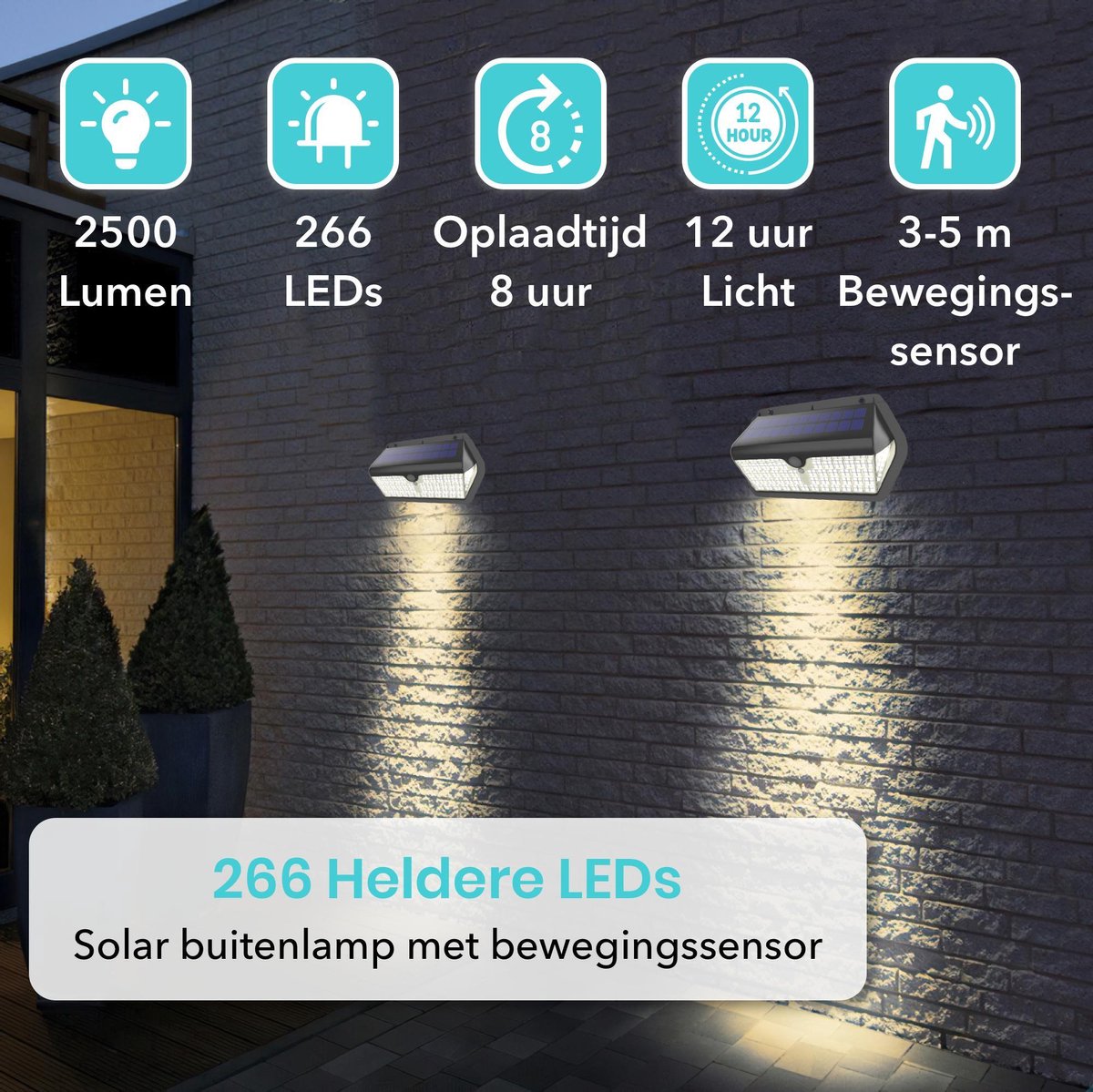 Experience Maximum Sustainability Even in Winter