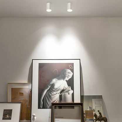 Recessed LED Ceiling Light Fixture in Aluminum