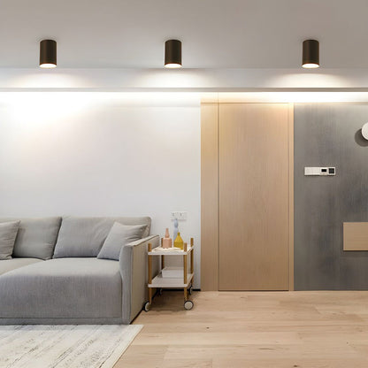 Recessed LED Ceiling Light Fixture in Aluminum