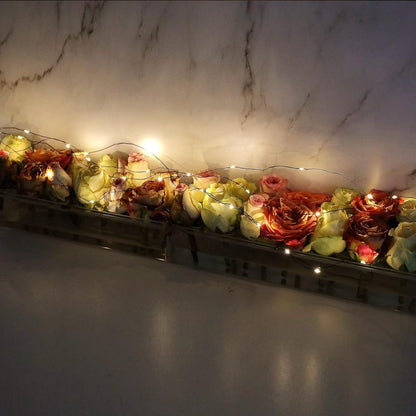 Floating Floral Display with Stem Holder | Clear Acrylic Vase for 12, 16, or 22 Stems | Optional LED Lighting