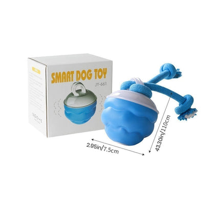Keep Your Dog Mentally Engaged and Energetically Happy