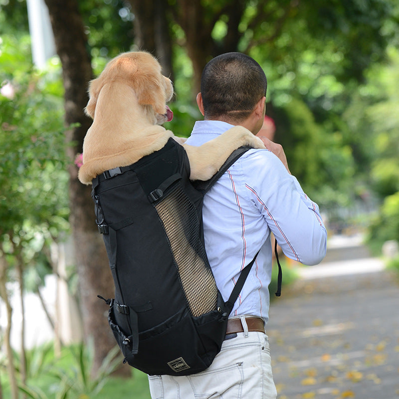Medium Dog Backpack – Comfortable Carry Bag with Safety Strap & Storage Pockets