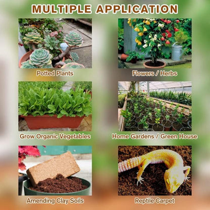 Eco-Friendly Coconut Fiber Growth Medium for Plants