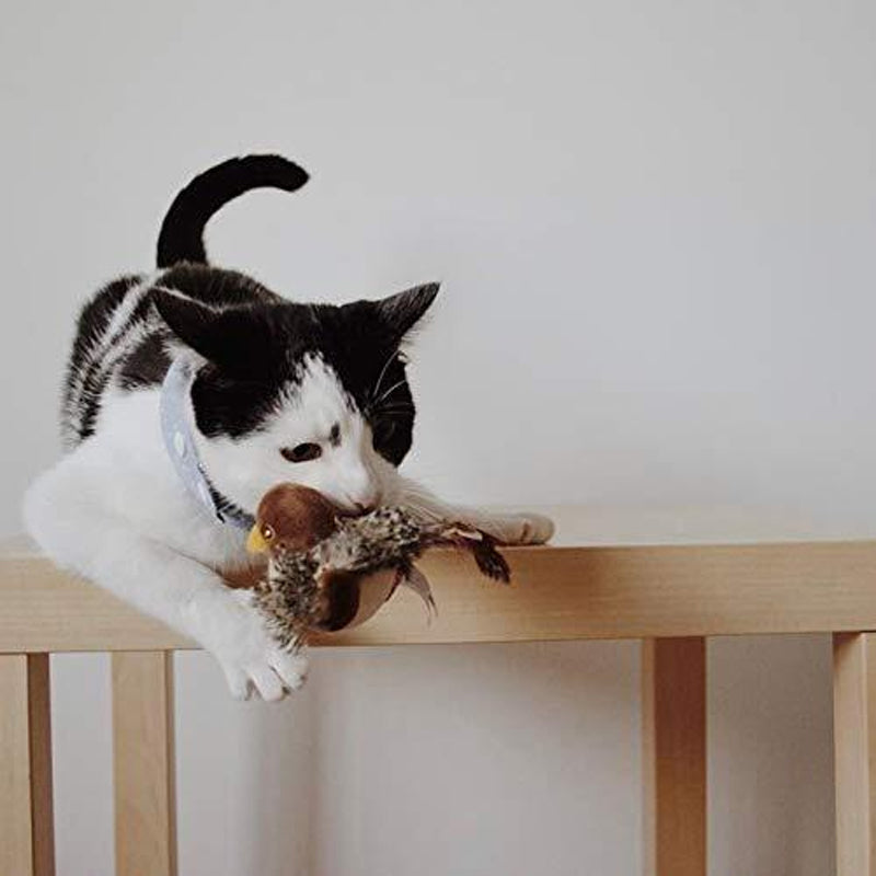 Interactive Chirping Bird Toy for Cats