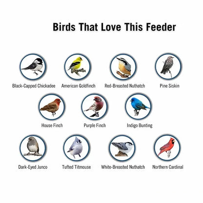 Squirrel-Proof Hanging Bird Feeder for Garden with Rotating Perch
