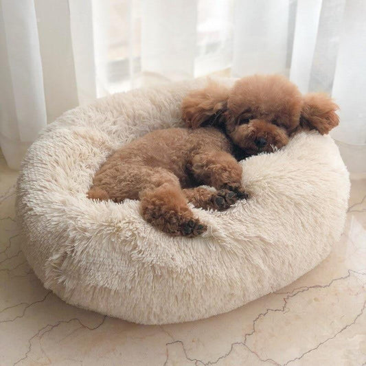Dog Bed for Relaxation and Comfort