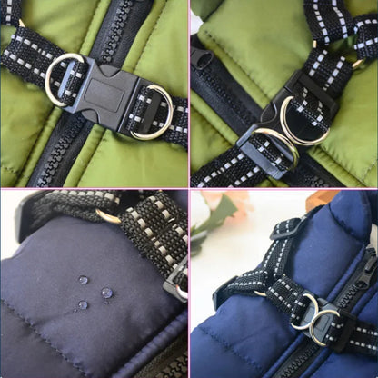 Water-Resistant Dog Jacket for Comfort and Protection