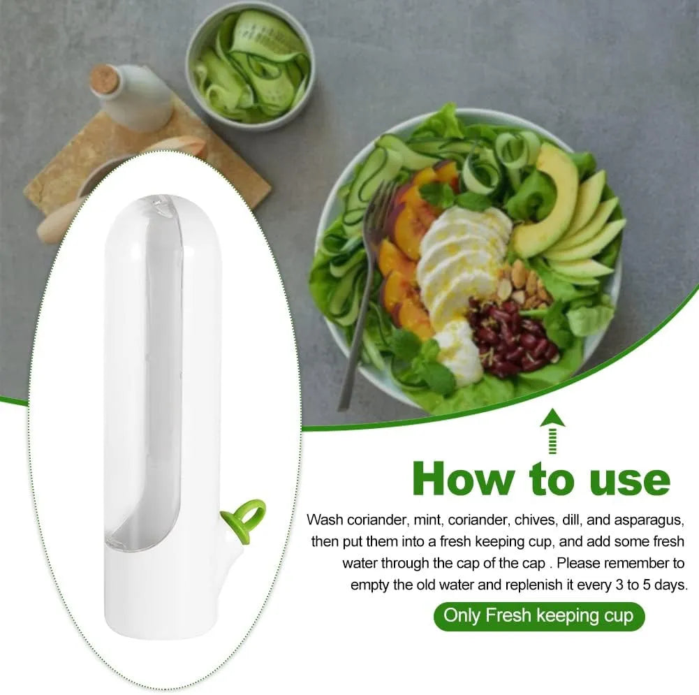 Buy One Get One Free | Fresh Storage Container for Vegetables and Herbs