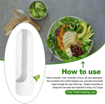 Buy One Get One Free | Fresh Storage Container for Vegetables and Herbs