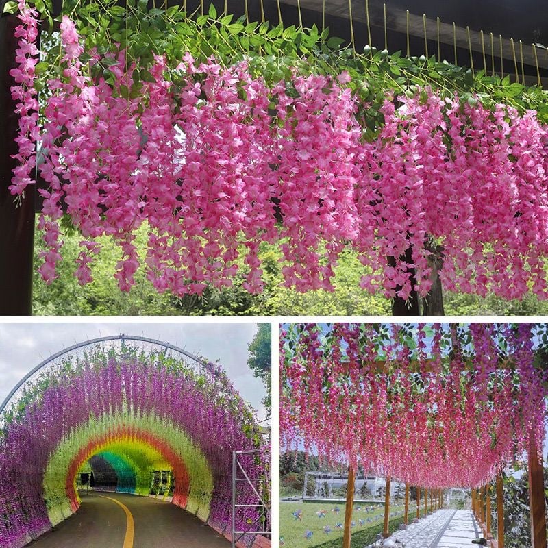Vibrant, Lush Wisteria Plant that Requires No Watering