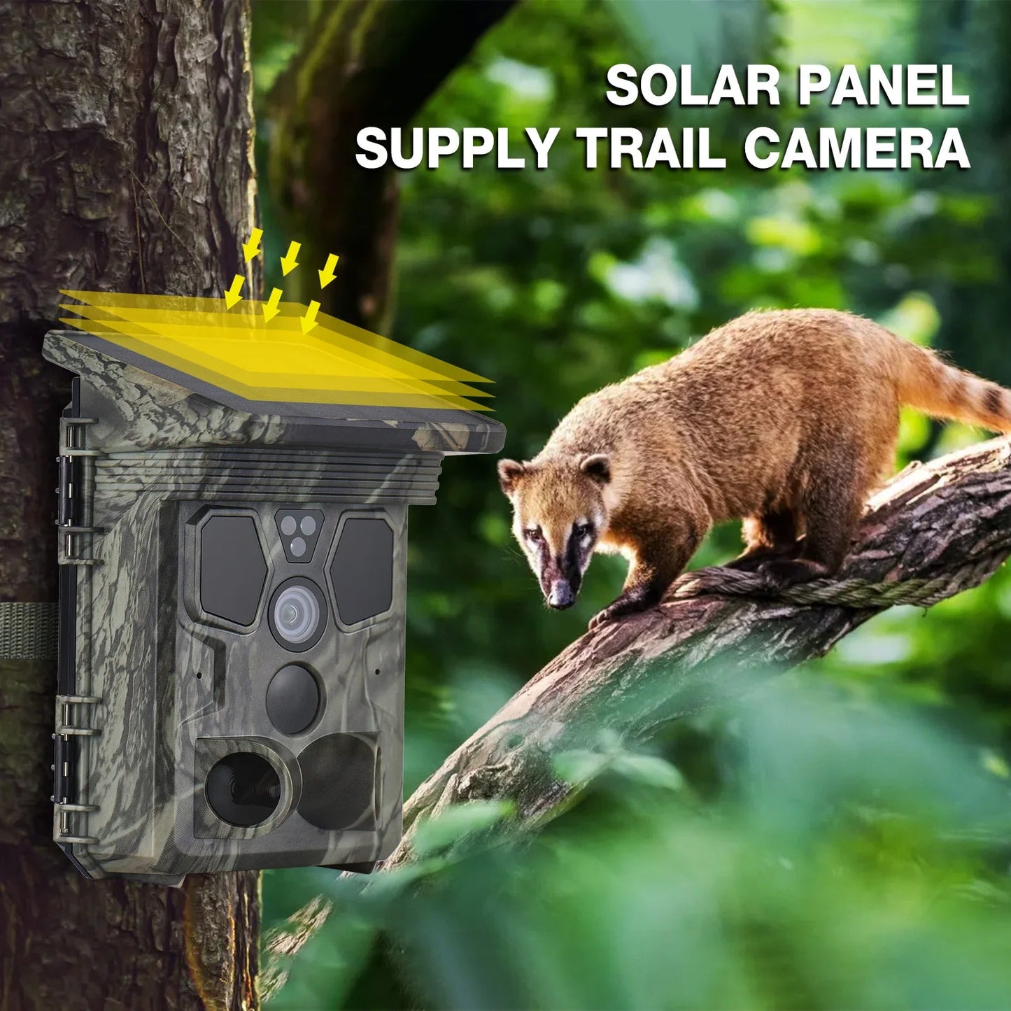 Version 3 of Wildsnap