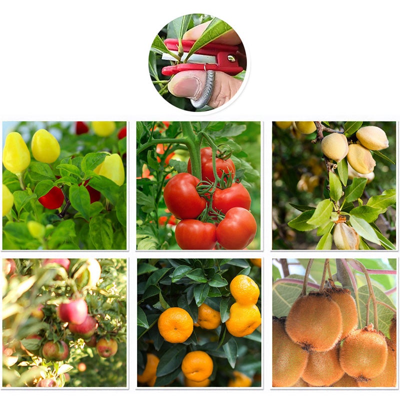 Quick Harvest Tool – Gather Crops Safely Without Finger Injury