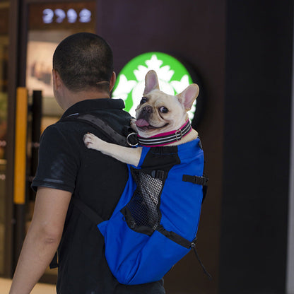 Medium Dog Backpack – Comfortable Carry Bag with Safety Strap & Storage Pockets
