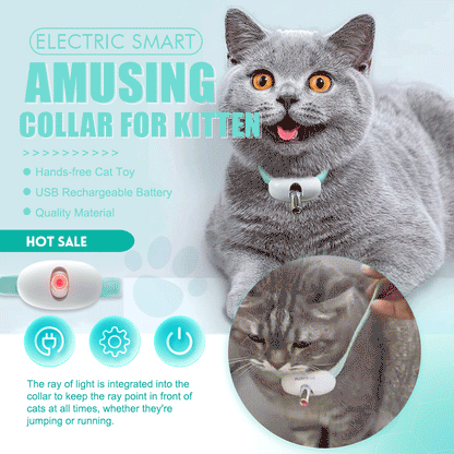 Keep Your Cat Healthy, Happy, and Energetic Every Day